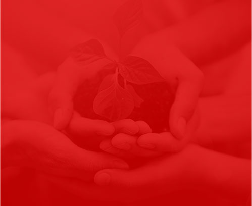 網(wǎng)絡(luò)公司景明網(wǎng)絡(luò) 網(wǎng)絡(luò)公司景明網(wǎng)絡(luò)